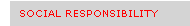 Social Resposibility